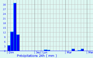 Graphique des précipitations prvues pour Shama Junction