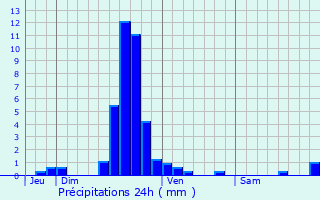 Graphique des précipitations prvues pour Maison Burg