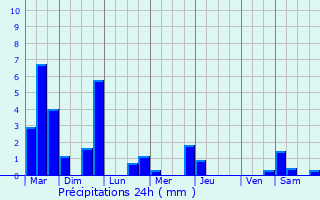 Graphique des précipitations prvues pour Lyon