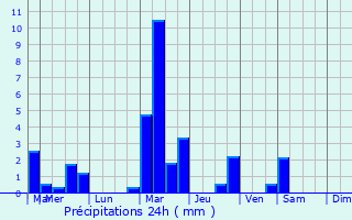 Graphique des précipitations prvues pour Bourgon