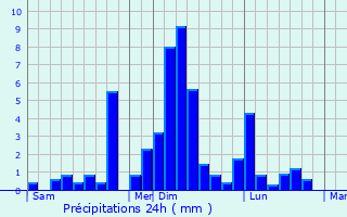 Graphique des précipitations prvues pour Luglon