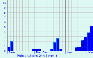 Graphique des précipitations prvues pour Choussy