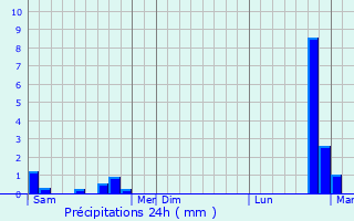 Graphique des précipitations prvues pour Fischbach