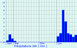 Graphique des précipitations prvues pour Lyon