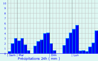 Graphique des précipitations prvues pour Salgar