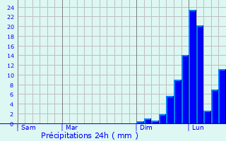 Graphique des précipitations prvues pour Togane