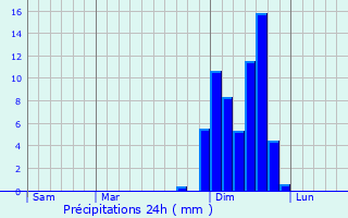 Graphique des précipitations prvues pour Suzuka