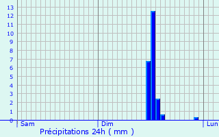 Graphique des précipitations prvues pour Foss