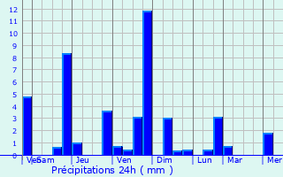 Graphique des précipitations prvues pour Cournols