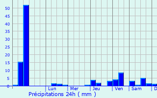 Graphique des précipitations prvues pour Bitam