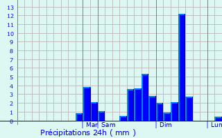 Graphique des précipitations prvues pour San Martn