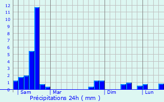 Graphique des précipitations prvues pour Villefranche-de-Rouergue