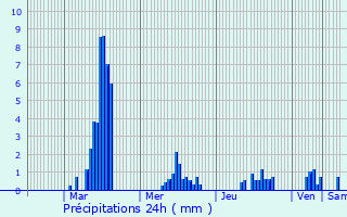 Graphique des précipitations prvues pour Le Plagnal