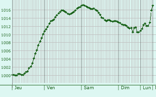 Graphe de la pression atmosphrique prvue pour Neuenburg am Rhein