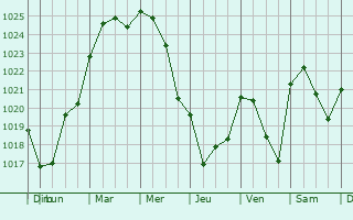 Graphe de la pression atmosphrique prvue pour Drammen