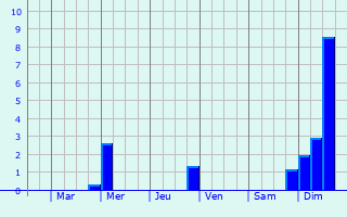 Graphique des précipitations prvues pour Reinheim