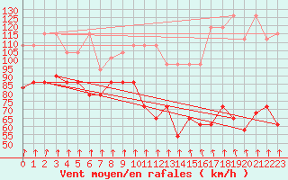 Courbe de la force du vent pour Alpinzentrum Rudolfshuette