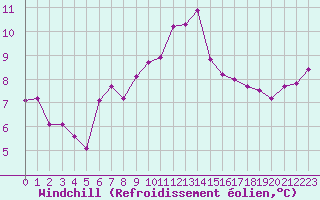 Courbe du refroidissement olien pour Ile d