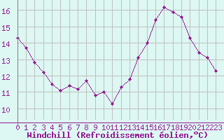 Courbe du refroidissement olien pour Langres (52) 
