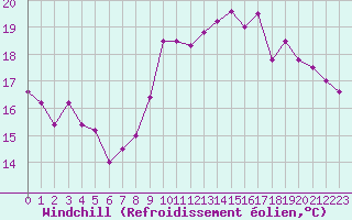 Courbe du refroidissement olien pour Brignogan (29)