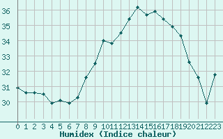 Courbe de l'humidex pour Ile du Levant (83)