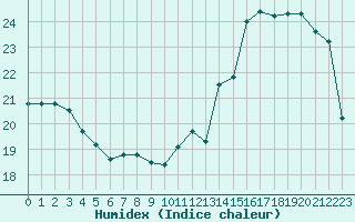 Courbe de l'humidex pour Sarzeau (56)