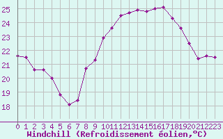 Courbe du refroidissement olien pour Ajaccio - Campo dell
