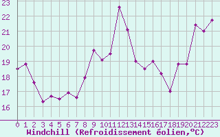 Courbe du refroidissement olien pour Cap Bar (66)