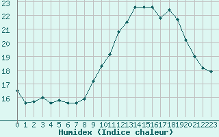 Courbe de l'humidex pour Mont-Aigoual (30)