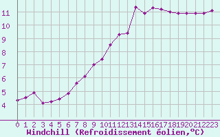 Courbe du refroidissement olien pour Amur (79)