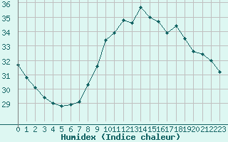 Courbe de l'humidex pour Nice (06)