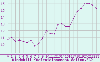 Courbe du refroidissement olien pour Le Havre - Octeville (76)