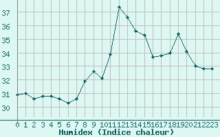 Courbe de l'humidex pour Cap Pertusato (2A)