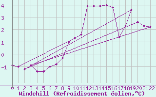 Courbe du refroidissement olien pour Kolka