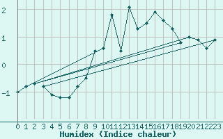 Courbe de l'humidex pour Nesbyen-Todokk