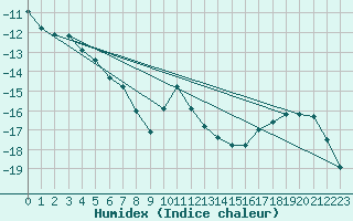 Courbe de l'humidex pour Saittarova