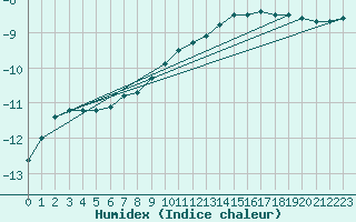 Courbe de l'humidex pour Saittarova