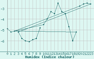 Courbe de l'humidex pour Ineu Mountain