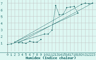 Courbe de l'humidex pour Fjaerland Bremuseet