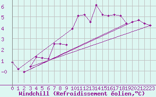 Courbe du refroidissement olien pour Luechow