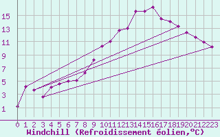 Courbe du refroidissement olien pour Cornus (12)