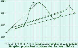 Courbe de la pression atmosphrique pour Amur (79)