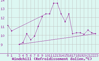Courbe du refroidissement olien pour Bizerte
