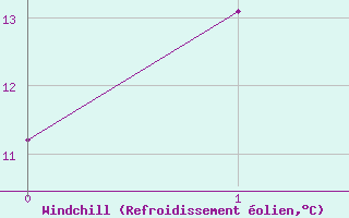 Courbe du refroidissement olien pour White Cliffs