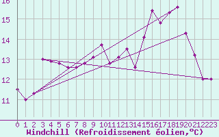 Courbe du refroidissement olien pour Pointe du Raz (29)