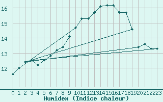 Courbe de l'humidex pour Belm