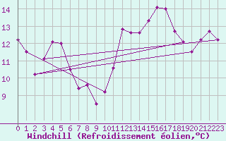 Courbe du refroidissement olien pour Dunkerque (59)