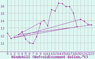 Courbe du refroidissement olien pour Pau (64)