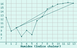 Courbe de l'humidex pour Ballypatrick Forest