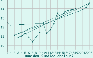 Courbe de l'humidex pour Elzach-Fisnacht